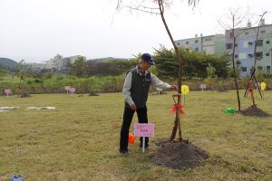 322植樹