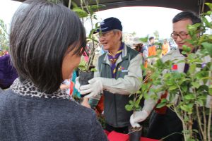 322植樹
