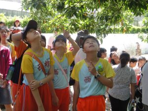 100年幼童軍舍營活動